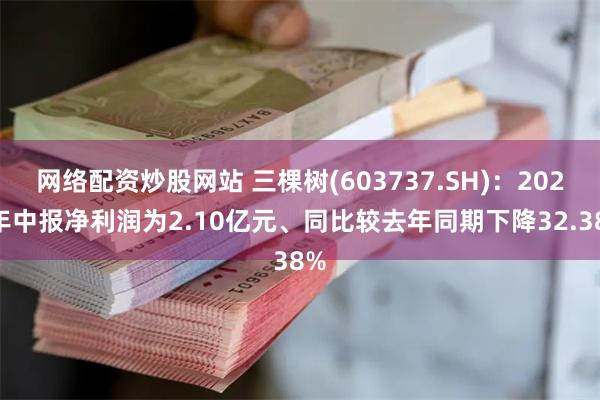 网络配资炒股网站 三棵树(603737.SH)：2024年中报净利润为2.10亿元、同比较去年同期下降32.38%