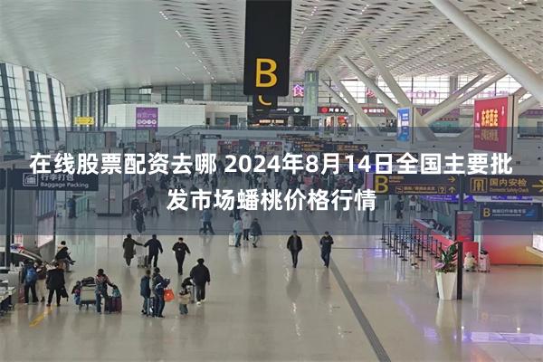 在线股票配资去哪 2024年8月14日全国主要批发市场蟠桃价格行情