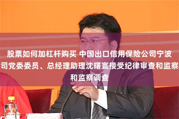 股票如何加杠杆购买 中国出口信用保险公司宁波分公司党委委员、总经理助理沈曙寰接受纪律审查和监察调查